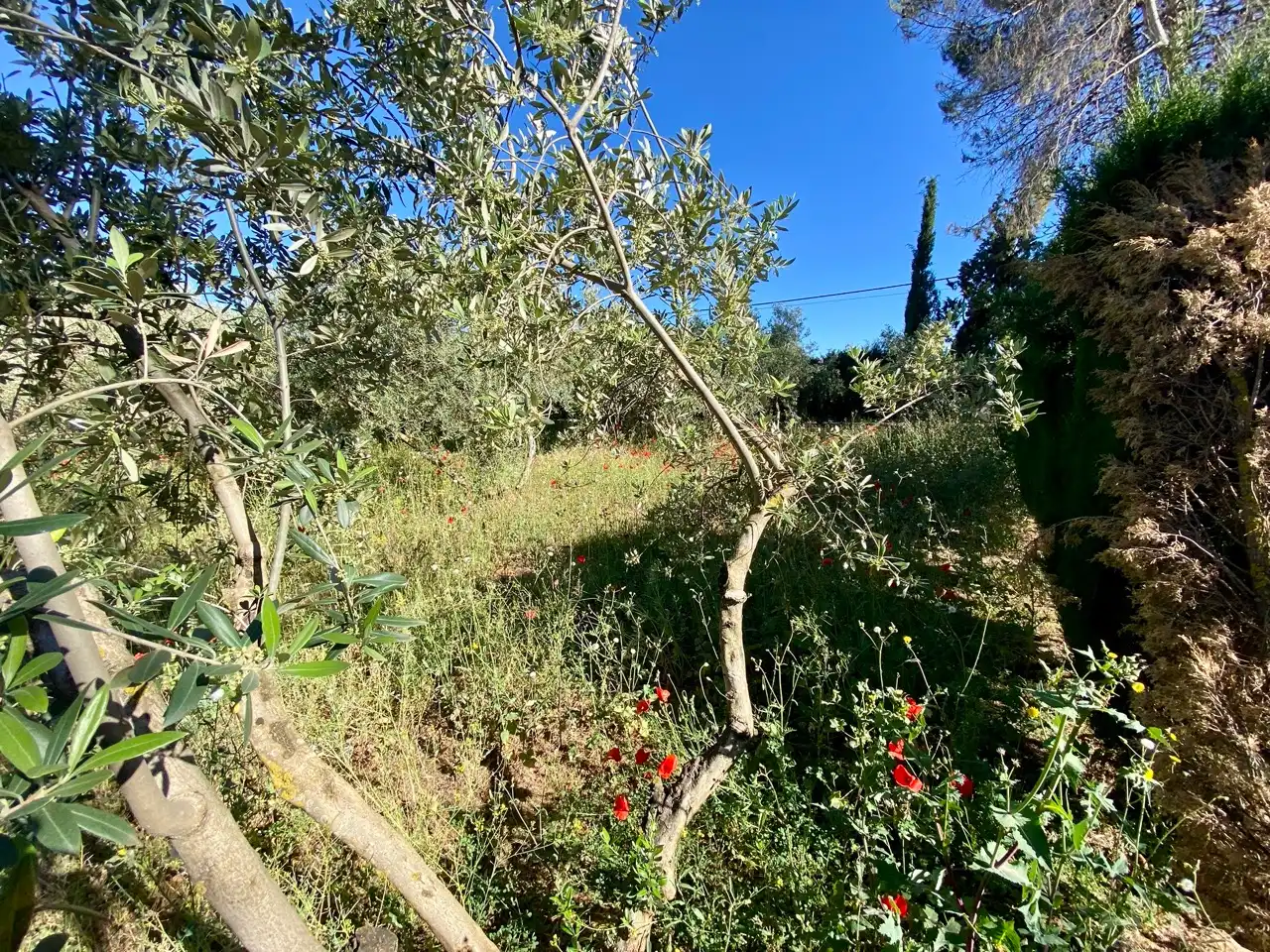 Xalet amb jardí en venda a Camino del Calvario, imagen 14