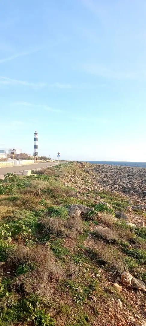 Vista exterior de Casa o xalet en venda en Ciutadella de Menorca amb Jardí privat, Terrassa i Forn