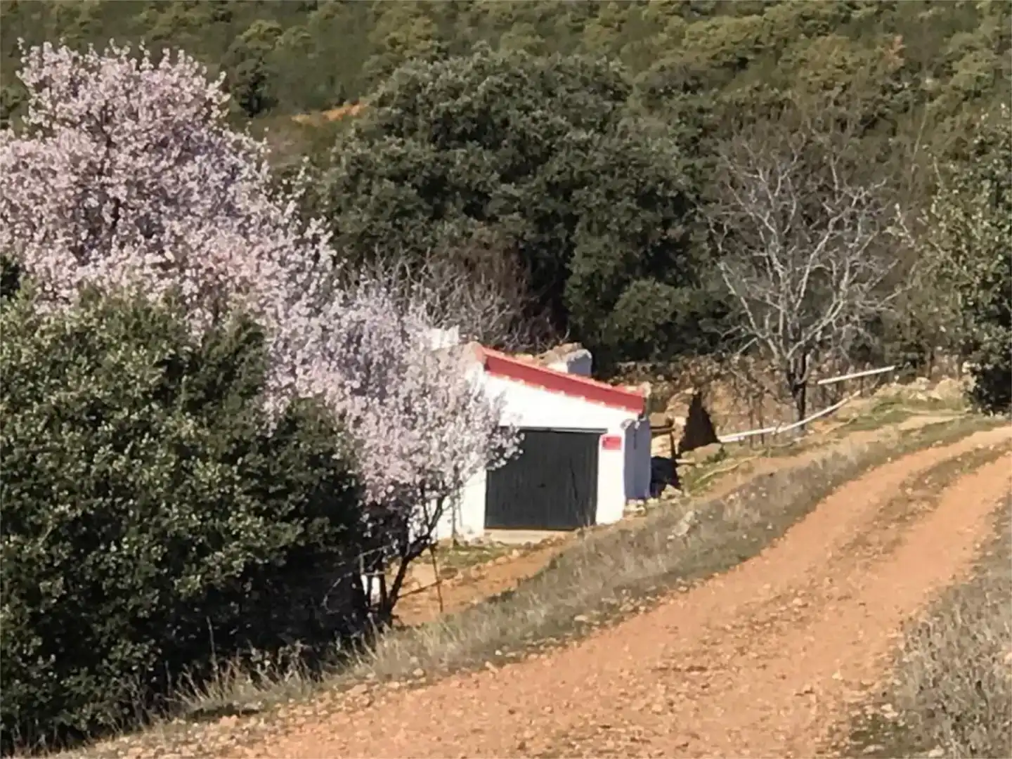 Vista exterior de Finca rústica en venda en Navahermosa amb Moblat