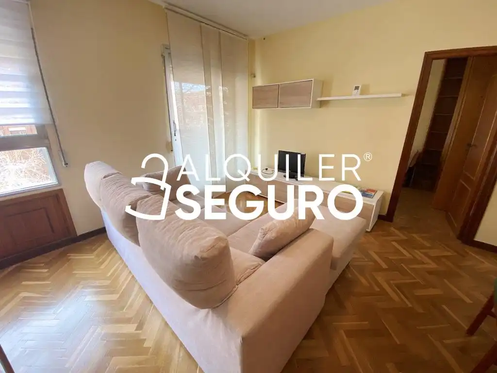 Living room of Flat for rent in Madrid  with Heating, Terrace and Furnished