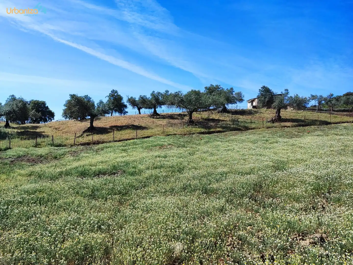 Land for sale in Salvaleón