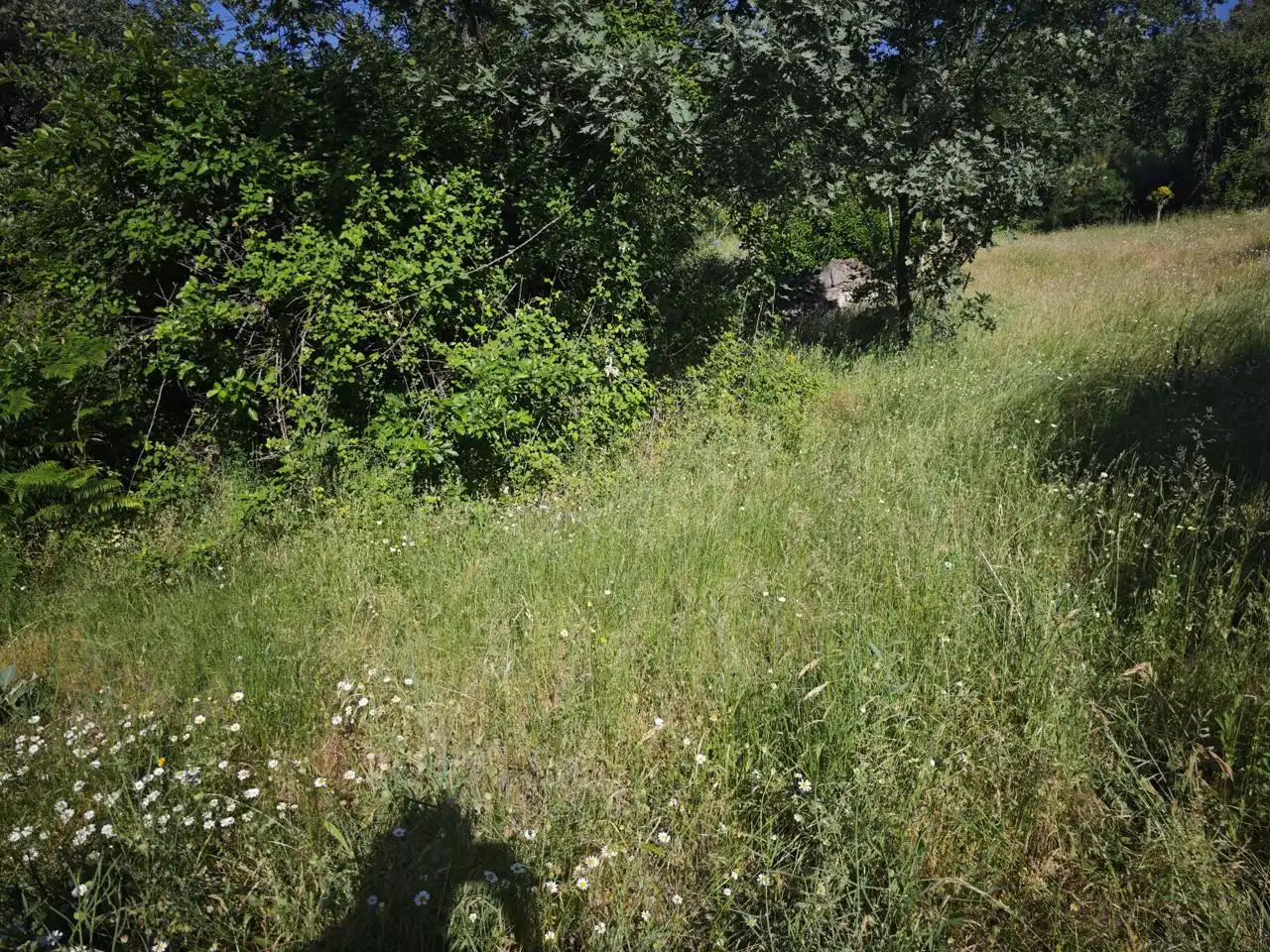 Terreni e lotti in vendita a Polígono 6 Parcela 67 CABEZO. HERVAS (CÁCERES), imagen 4