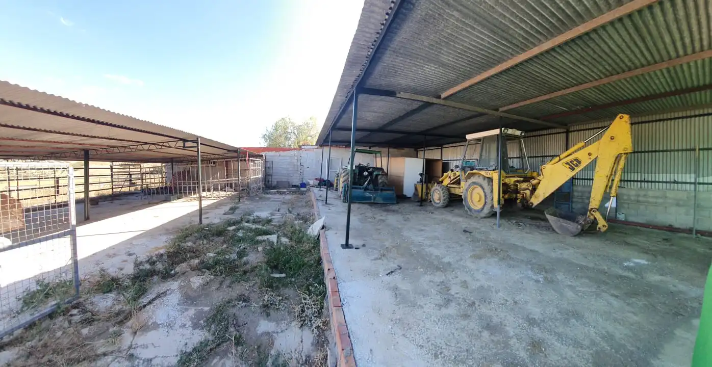 Terreno rustico in vendita a Casalpalma - Fahala, imagen 25