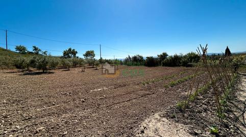 Foto 5 de Casa o xalet en venda a Carrer Major, Font-rubí, Barcelona