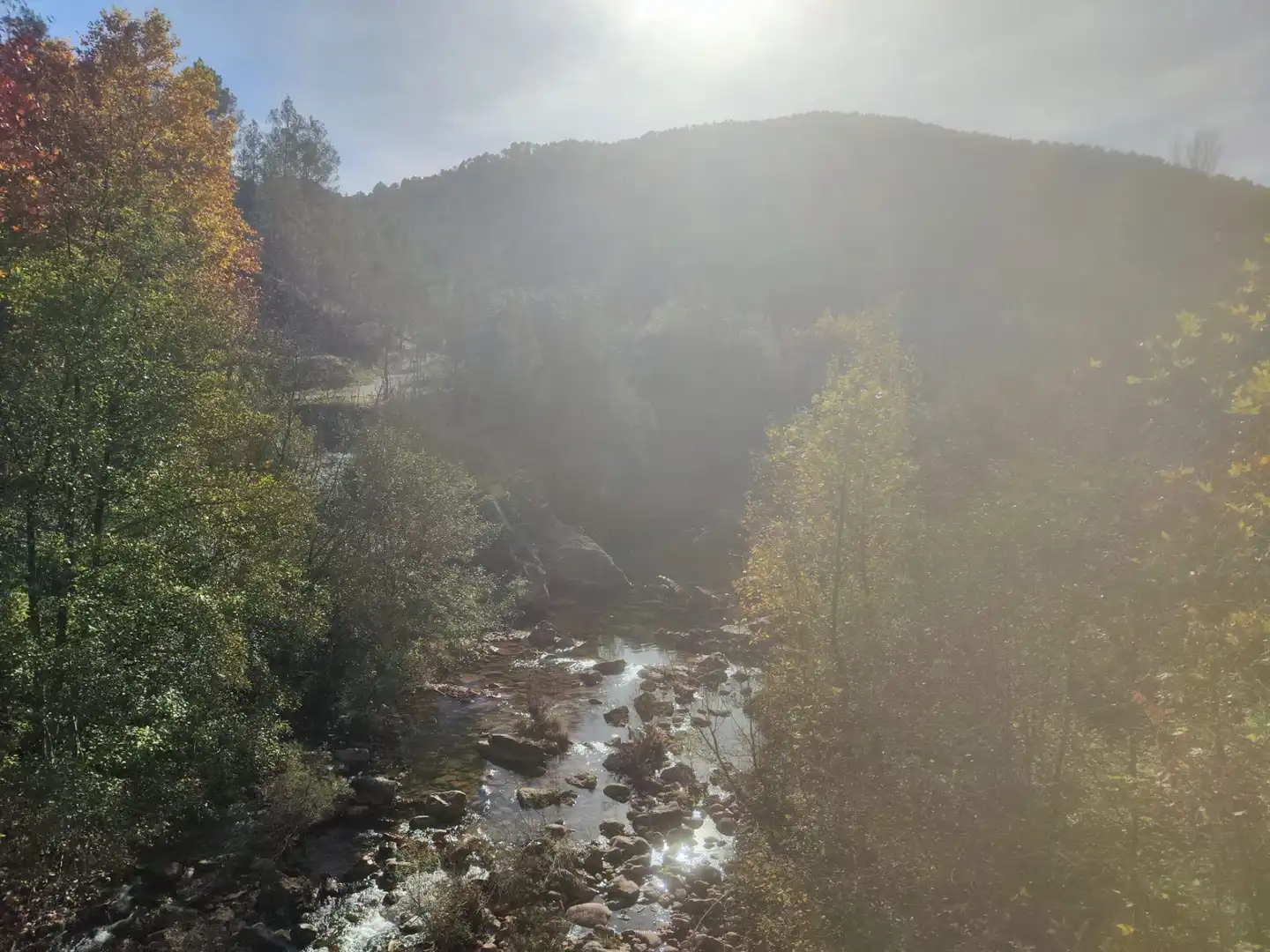 Vista exterior de Casa o chalet en venta en Sant Llorenç de la Muga con Calefacción y Jardín privado