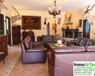 Sala d'estar de Finca rústica en venda en Illora amb Terrassa i Piscina