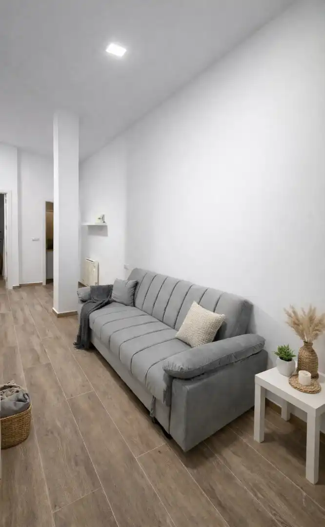 Living room of Flat for rent in Madrid  with Air Conditioner, Furnished and Pets allowed