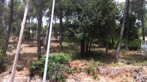 TERRENO VENTA ZONA EL PINOS, immagine 4
