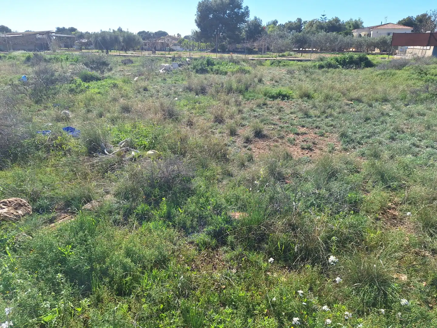 Terreny residencial en venda a Los Girasoles, imagen 4