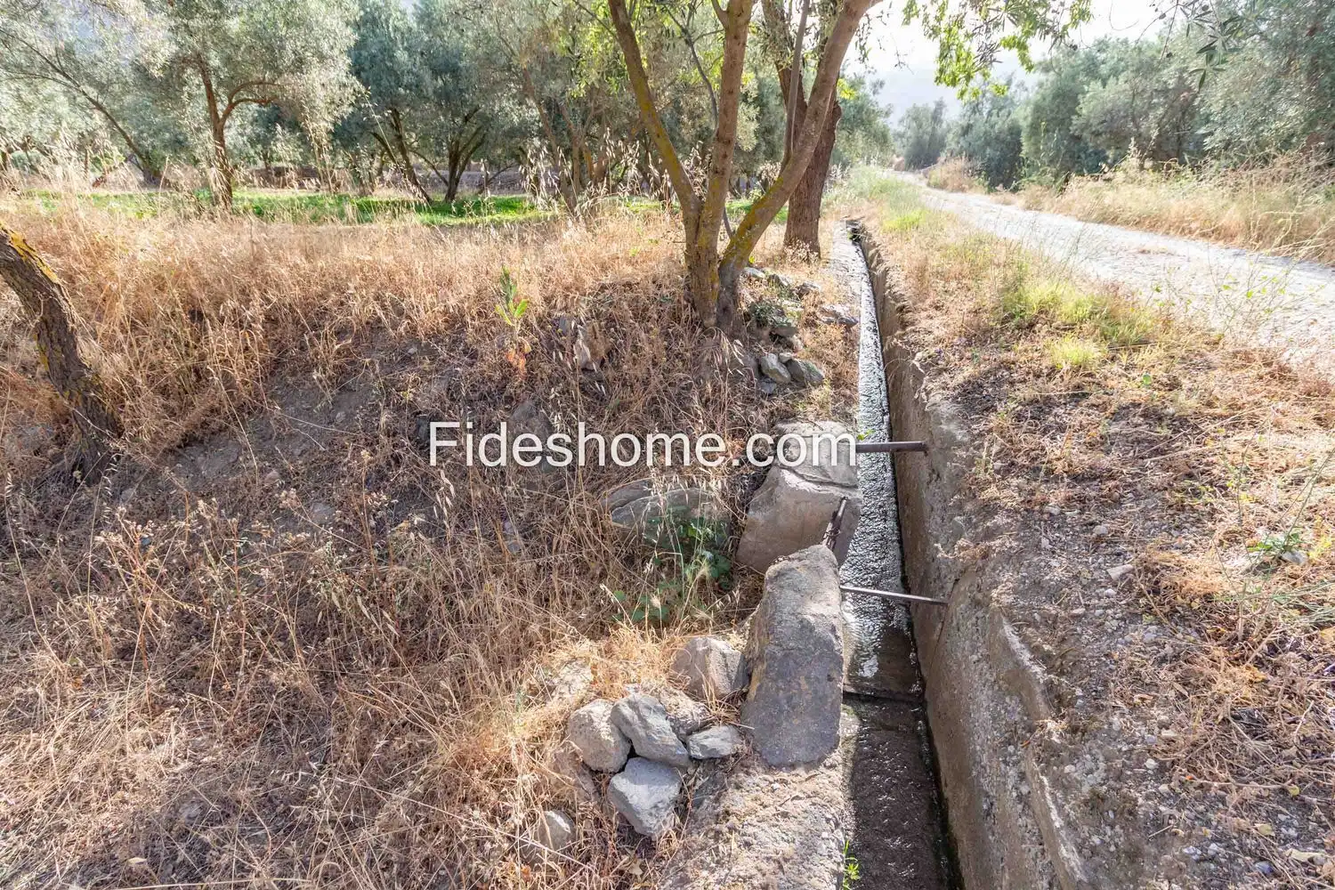 Rural land for sale in XFG2+MG9 Nigüelas 0, imagen 22