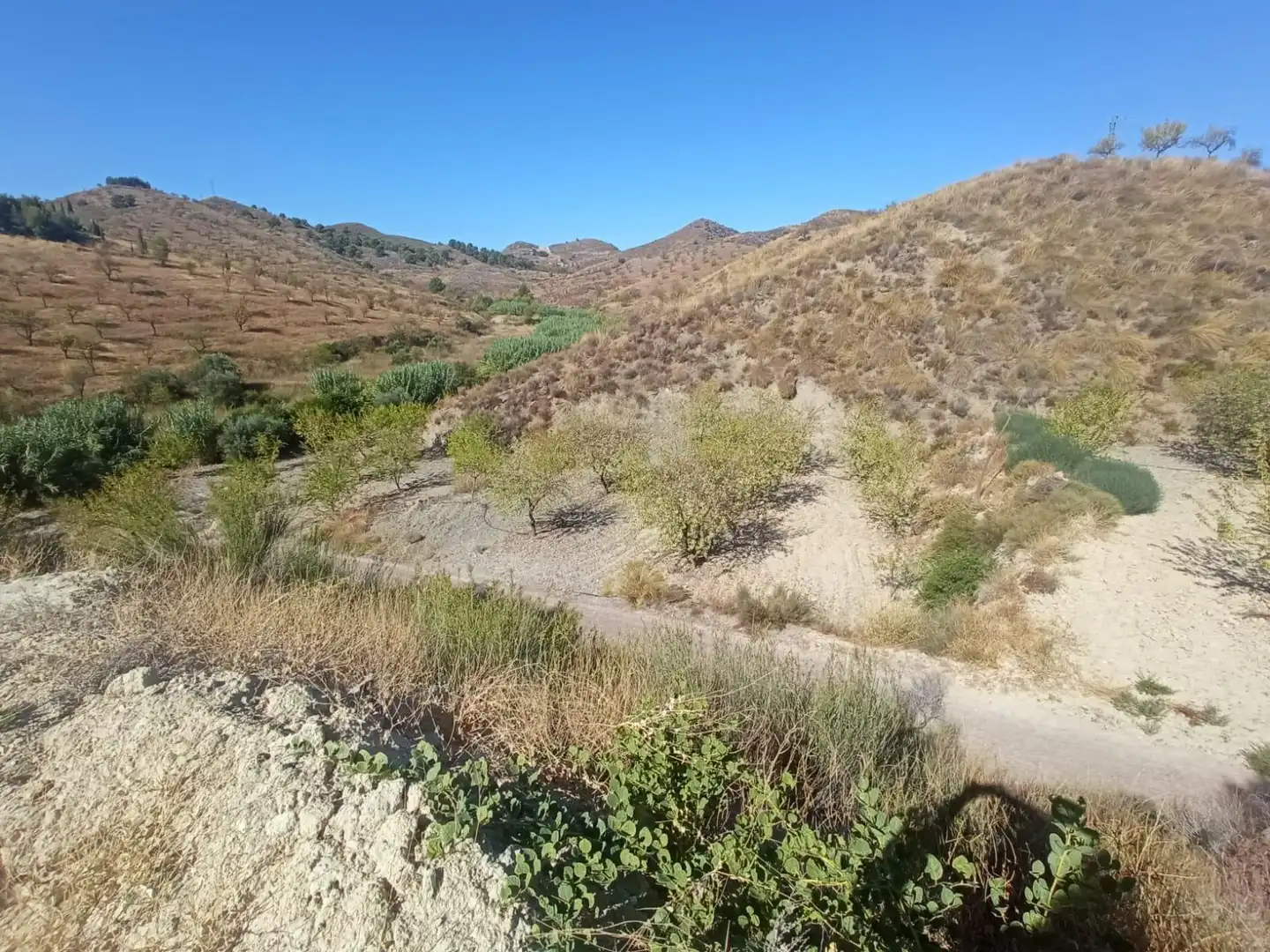 Terrains et parcelles à vendre à Pedanías Norte, imagen 39
