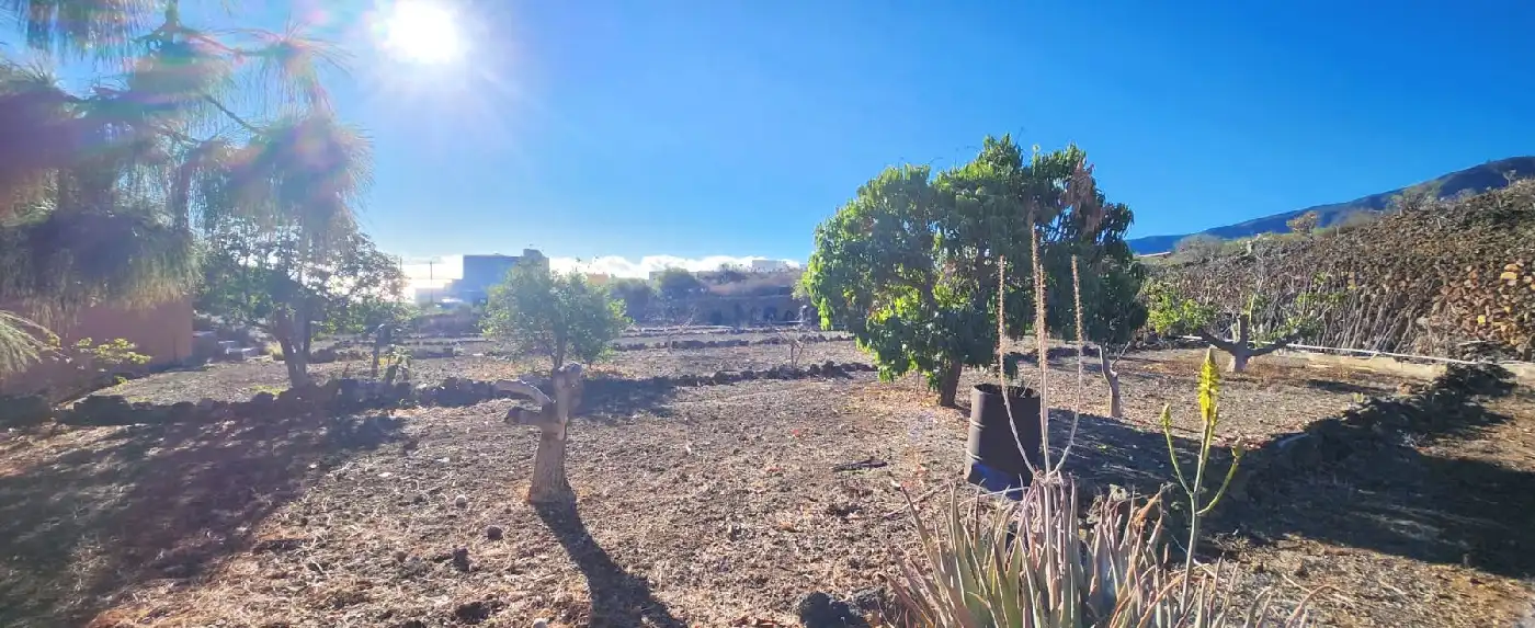 Casa o xalet en venda en Arafo amb Jardí privat, Terrassa i Traster