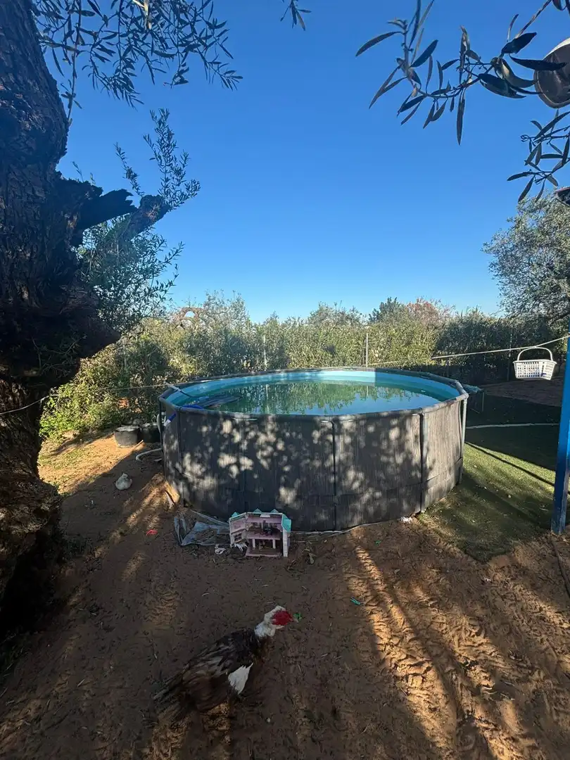 Piscina de Casa o chalet en venta en Arahal