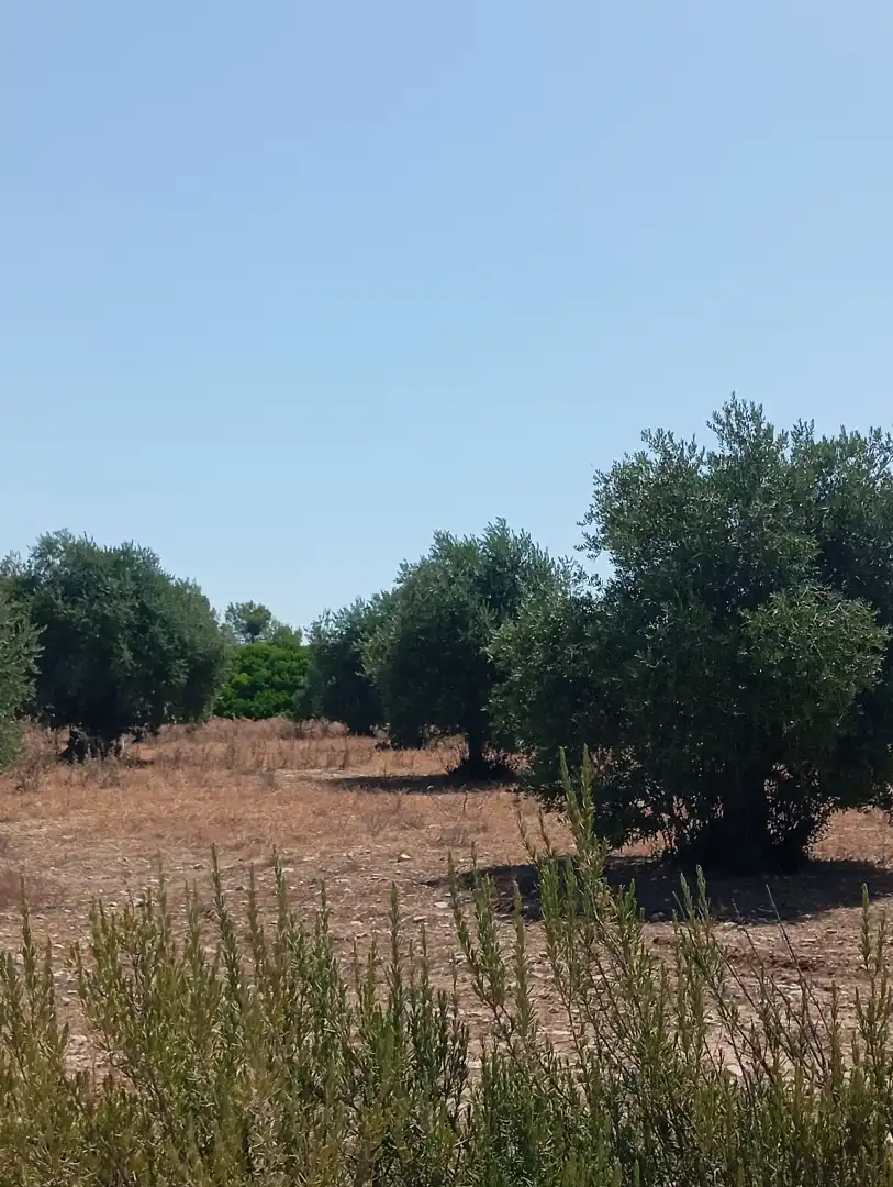 Terreno en venta en Llardecans