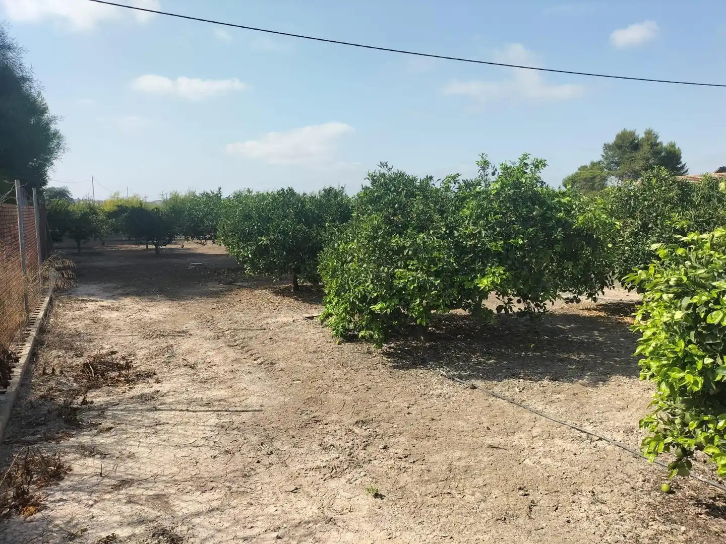 Xalet amb piscina en venda a Formentera del Segura, imagen 36