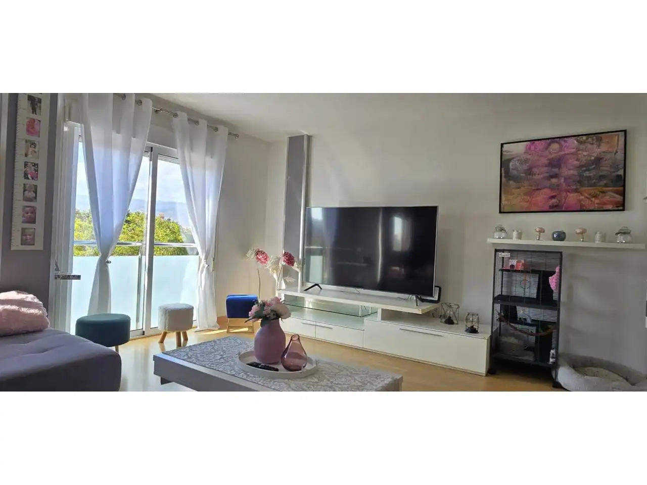 Living room of Detached homes for sale in Roquetas de Mar  with Terrace and Furnished