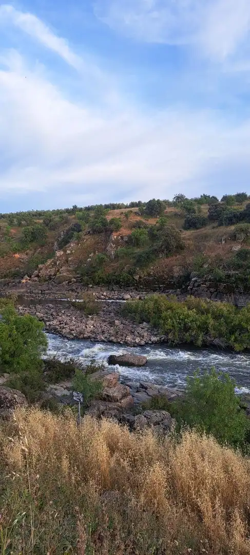 Exterior view of Land for sale in El Puente del Arzobispo