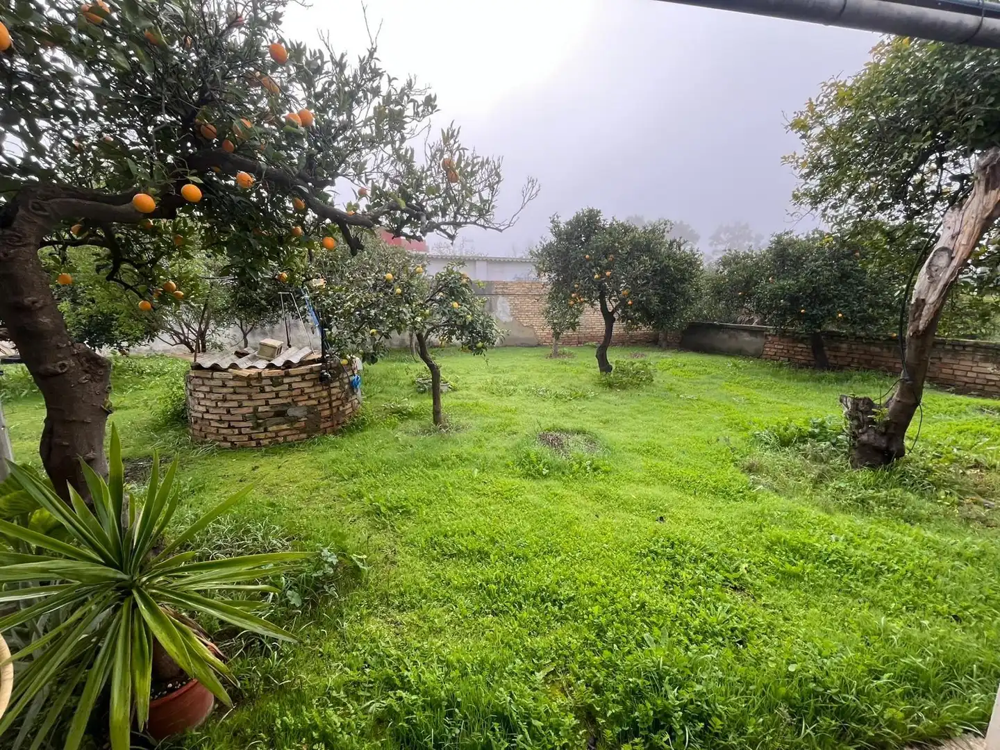 Garden of Houses for sale in Sevilla  with Private garden