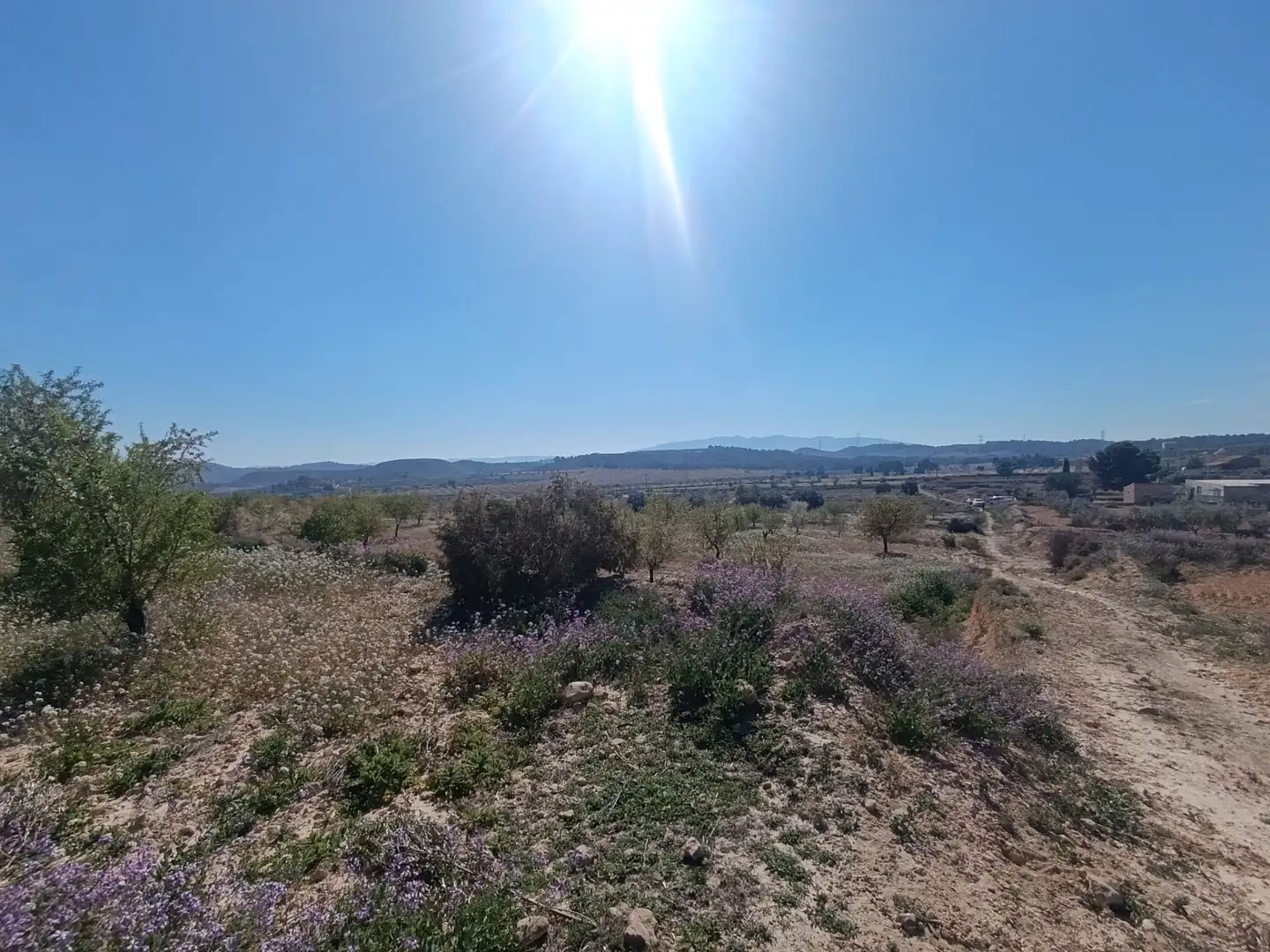 Terrenos y solares en venta en Pedanías Oeste, imagen 2