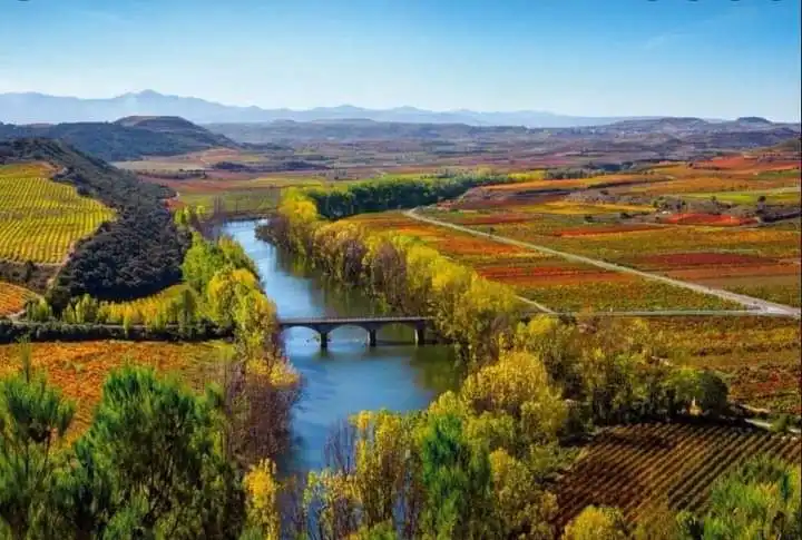 Vista exterior de Edifici en venda en Baños de Ebro / Mañueta