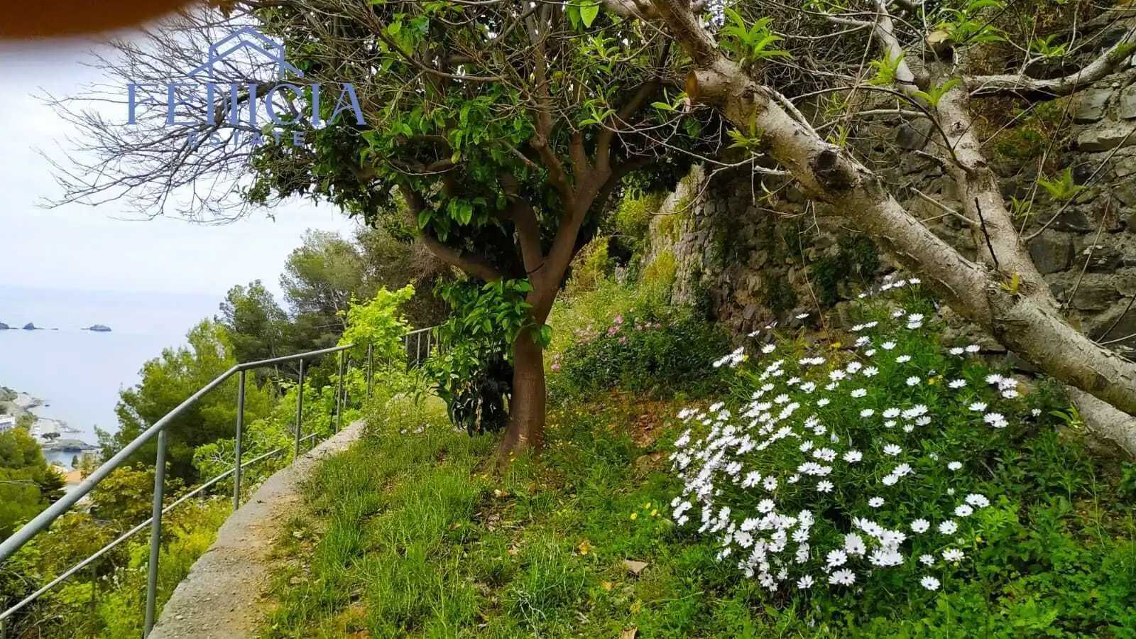 Jardí de Casa o xalet en venda en Almuñécar amb Jardí privat, Terrassa i Traster