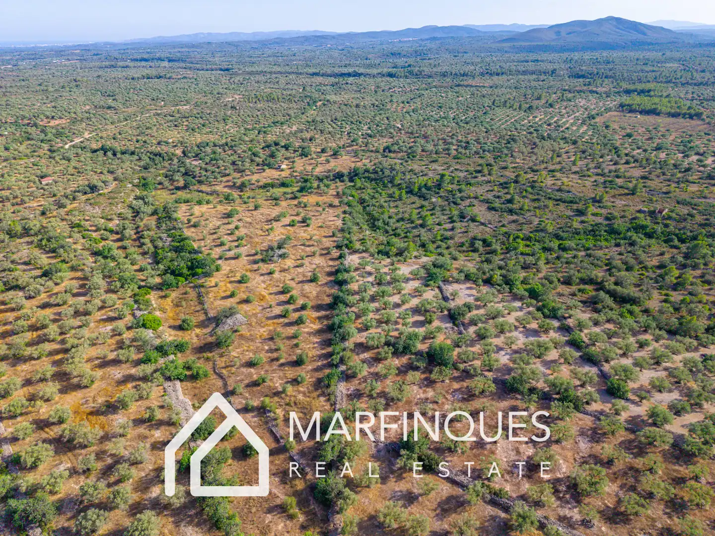 Terreno rustico in vendita a San Rafael del Río, imagen 6