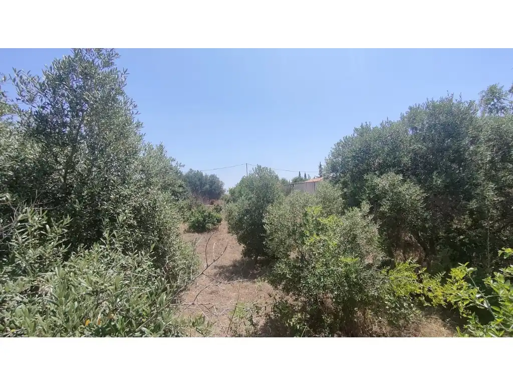 Finca rústica en venda en Fuente Álamo de Murcia