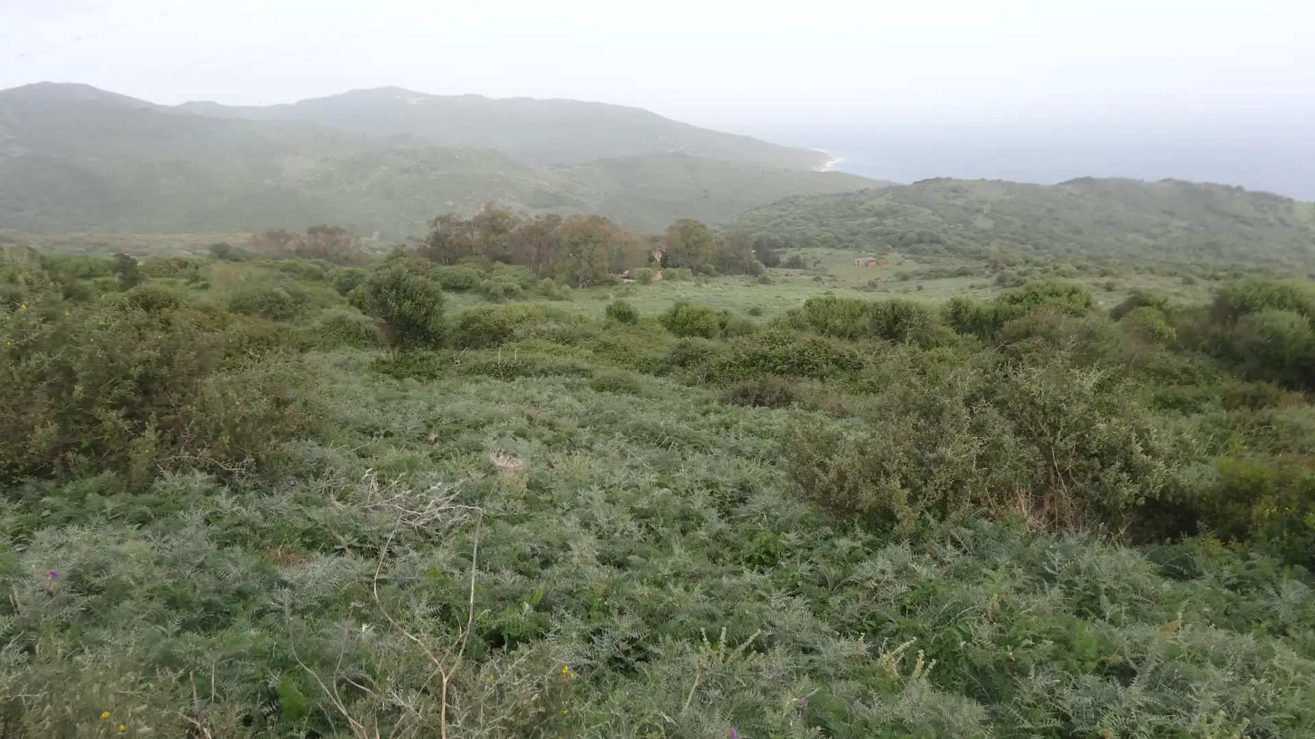 Rustikales Grundstück zum Verkauf in Puerto El Bujeo, imagen 4