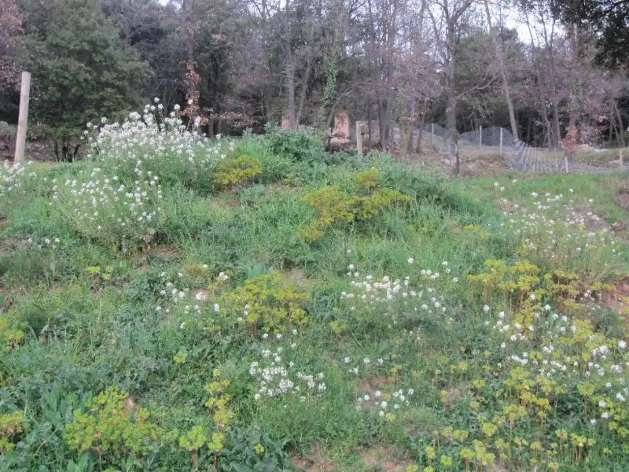 Terreno residenziale in vendita a La Nou de Berguedà, imagen 13