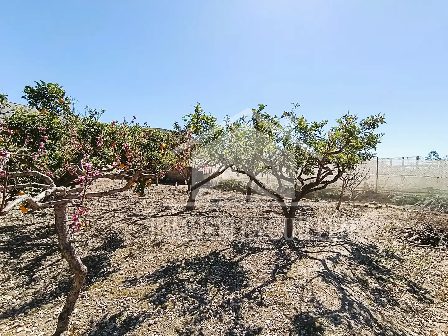 Detached house with garden for sale in Berja, imagen 5