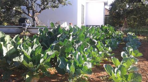 Foto 4 de Finca rústica en venda a Vista Azul - Consolación, Sevilla