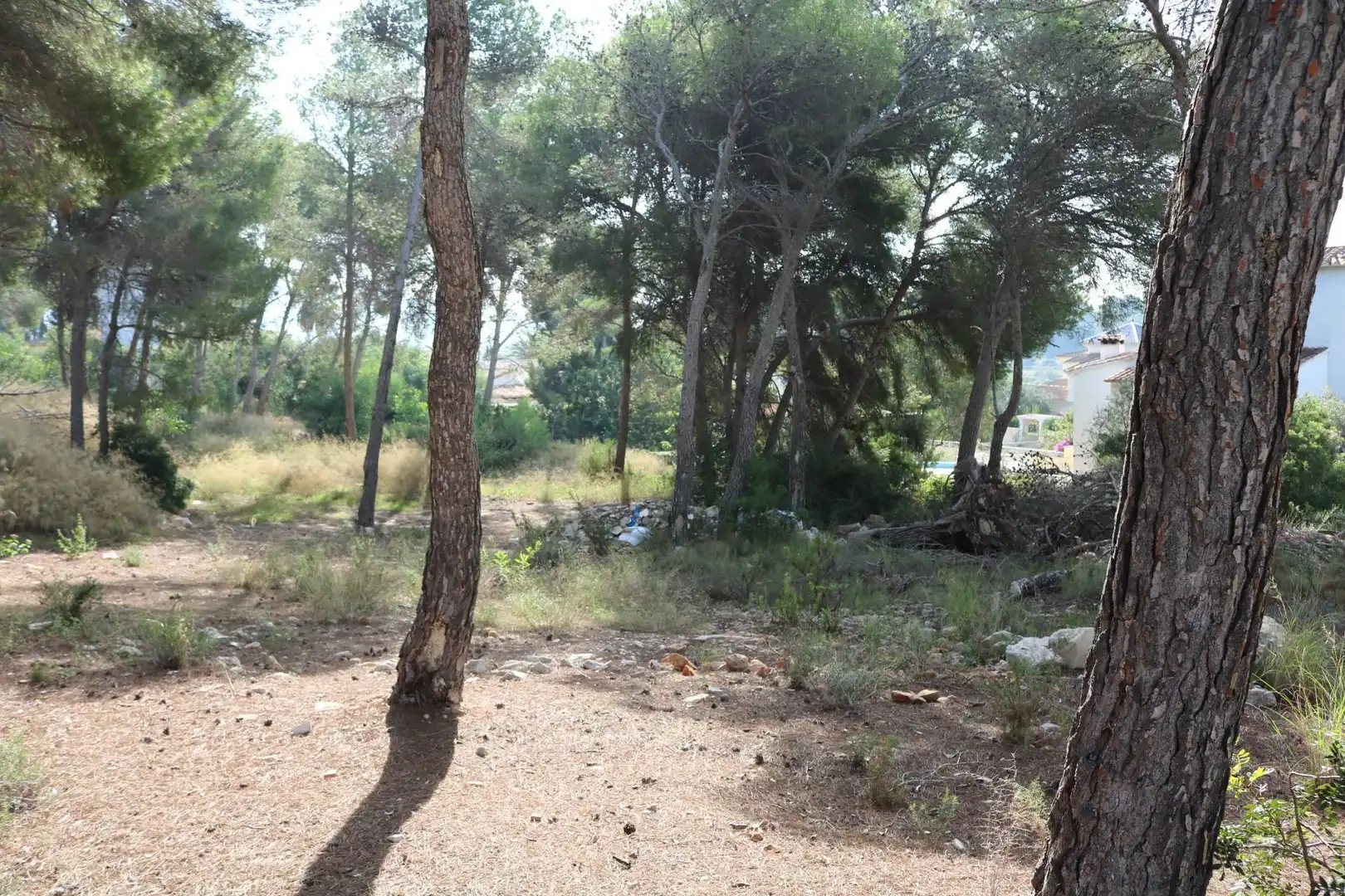 Terreny residencial en venda a Pinar del Advocat - Cometa, imagen 3