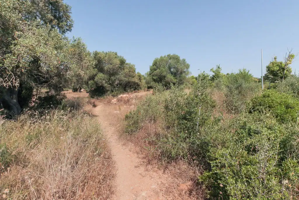 Rural land for sale in C/ Roquetes, imagen 12