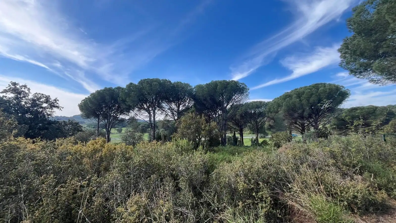 Terreny rústic en venda a Sant Climent Sescebes, imagen 18