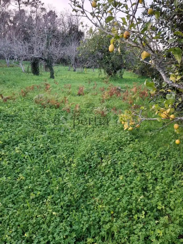 Rustikales Grundstück zum Verkauf in Boiro, imagen 7
