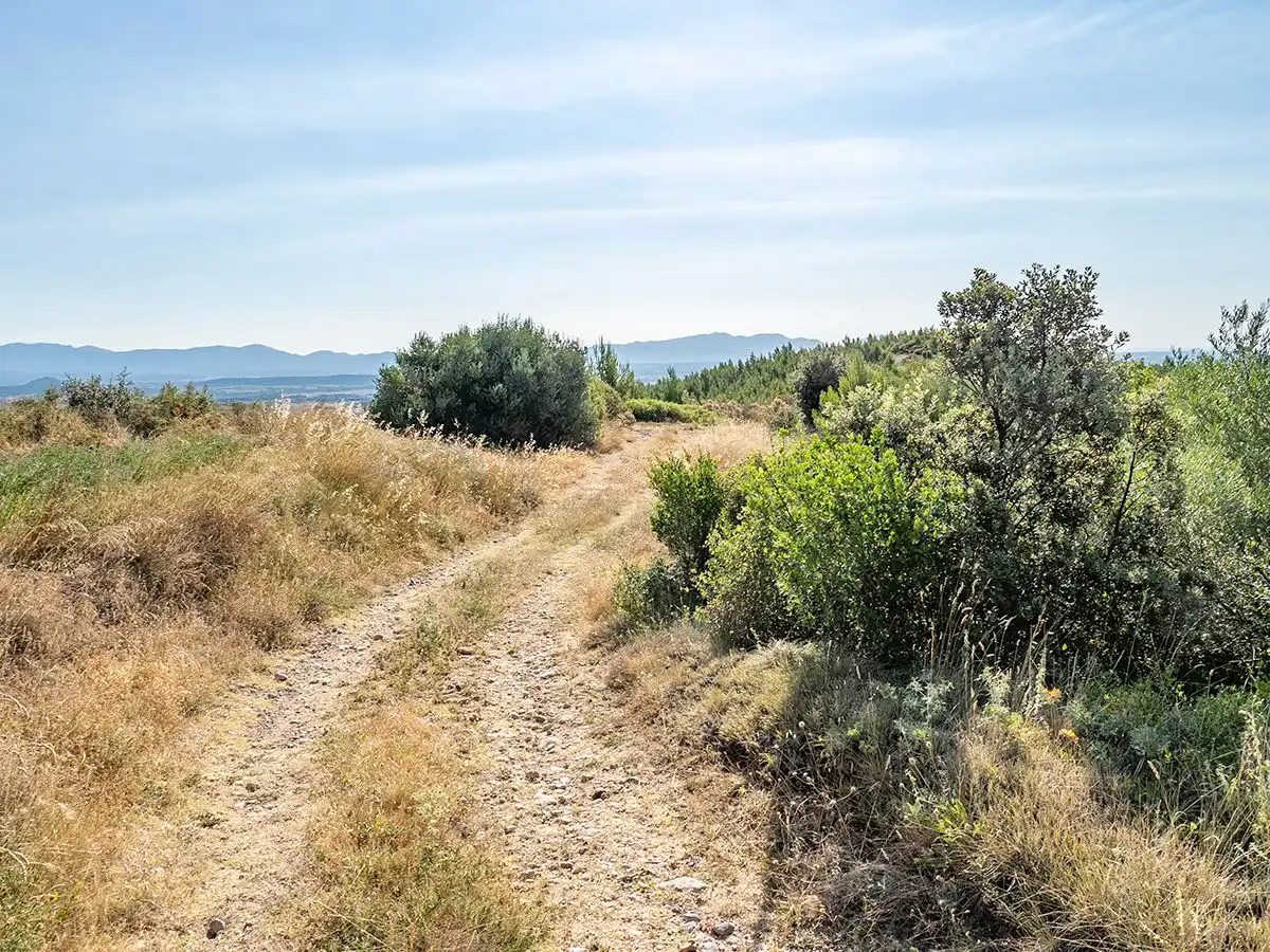 Finca rústica en venta en Llers