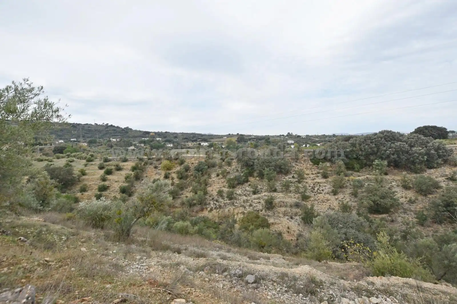 Terreno en venta en Ronda