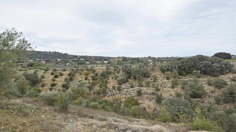 Photo 4 of Land for sale in La Planilla, Málaga