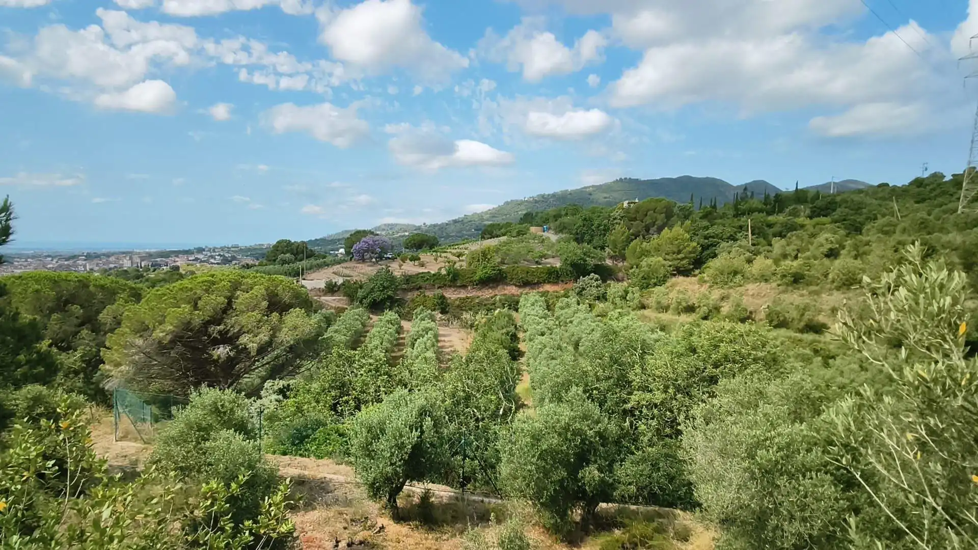 Maison rustique à vendre à La Selva del Camp, imagen 33