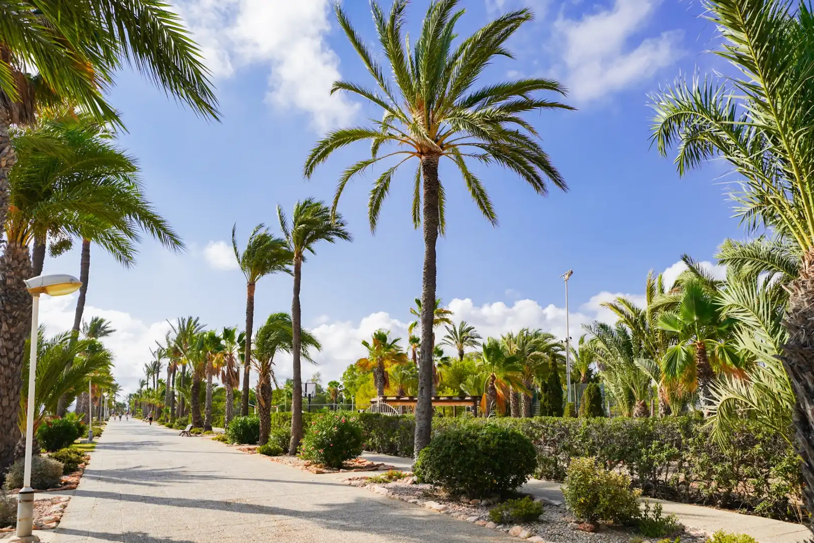 Vista exterior de Casa o chalet en venta en Cartagena con Aire acondicionado