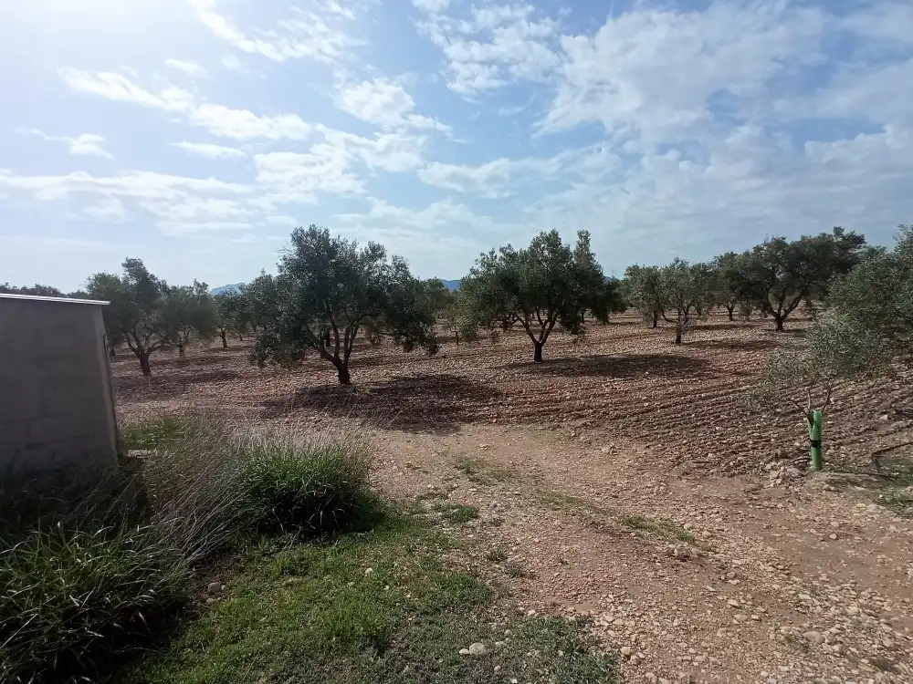 Residencial en venta en Salinas