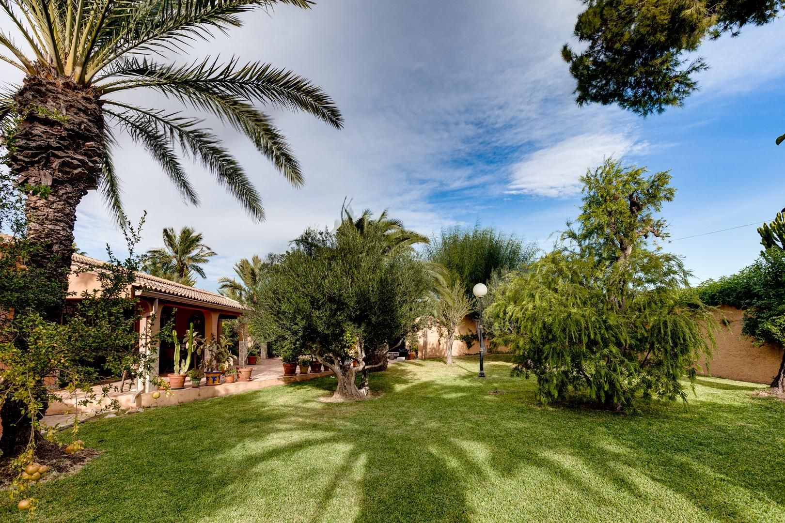Jardí de Casa o xalet en venda en Torrevieja amb Aire condicionat, Calefacció i Jardí privat