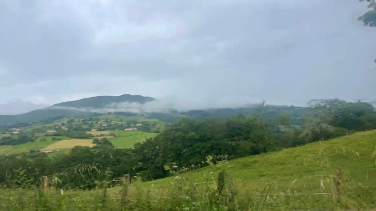 Terrenys i solars en venda a PIÑOLETA, PG. 137, imagen 3