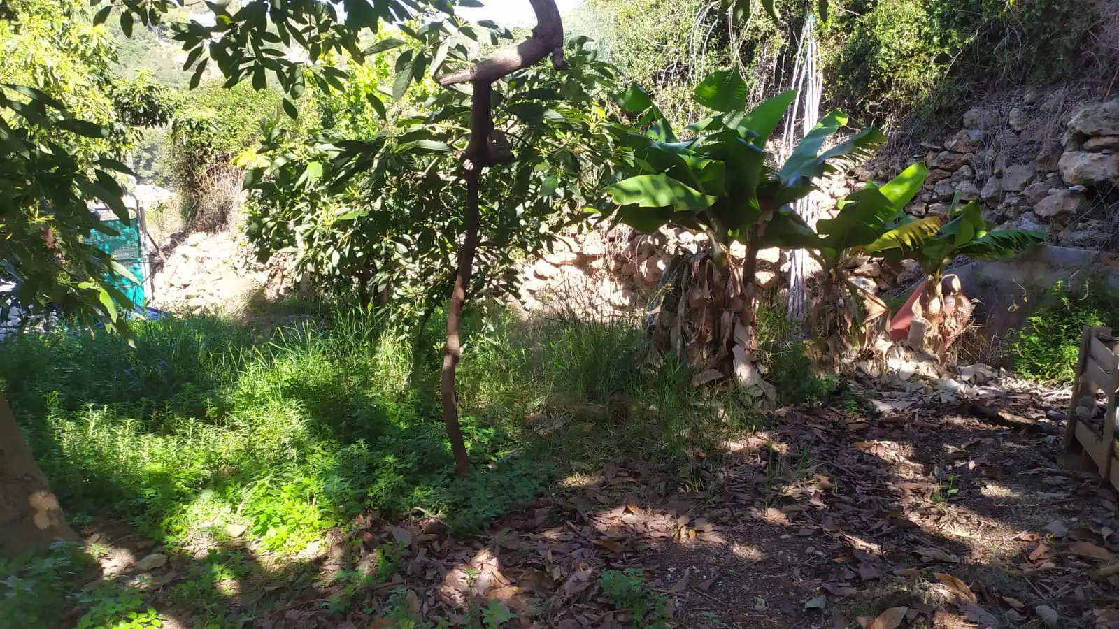 Rural land for sale in Paraje Almachares 15, imagen 12