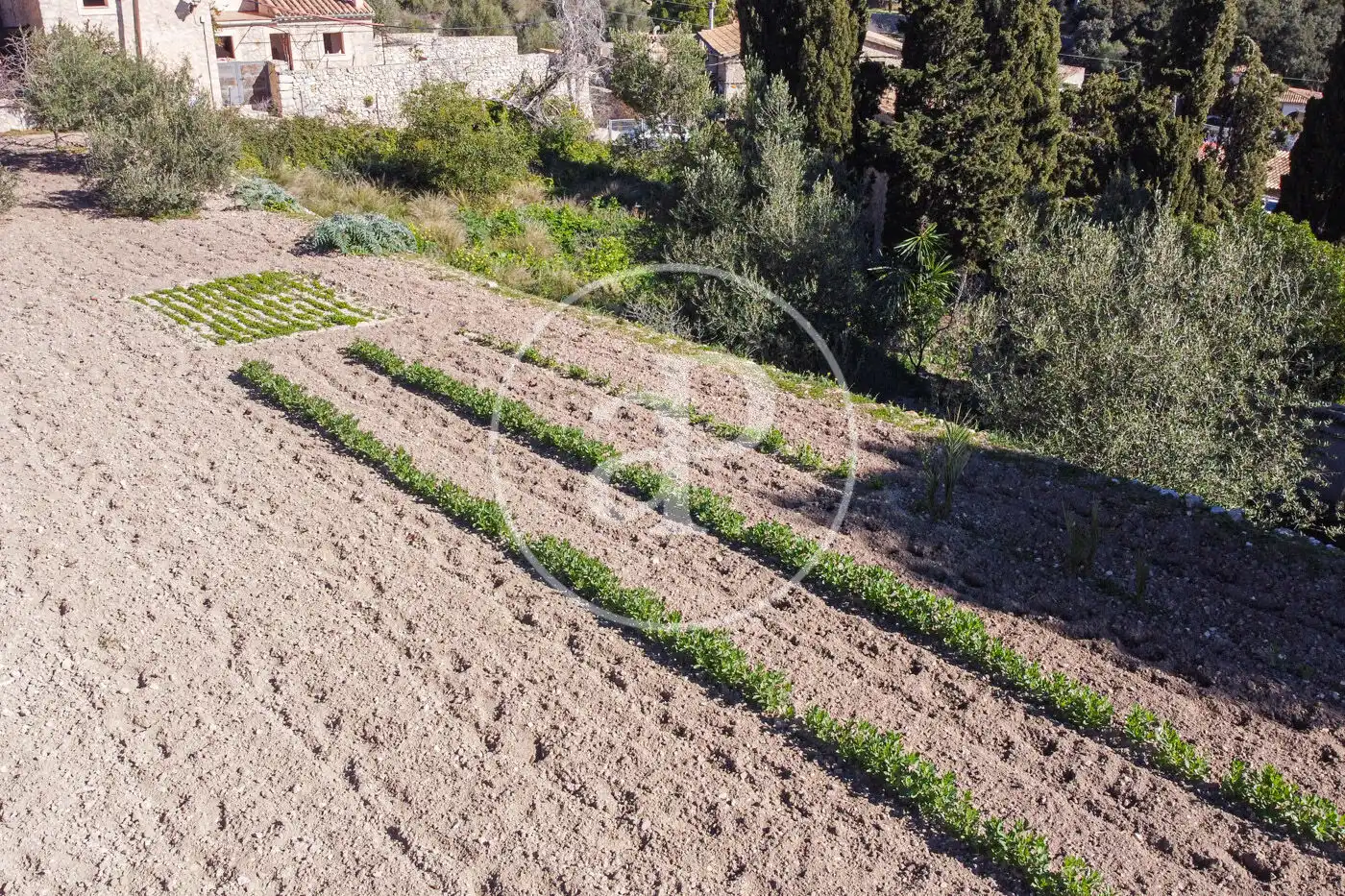 Residential for sale in Puigpunyent
