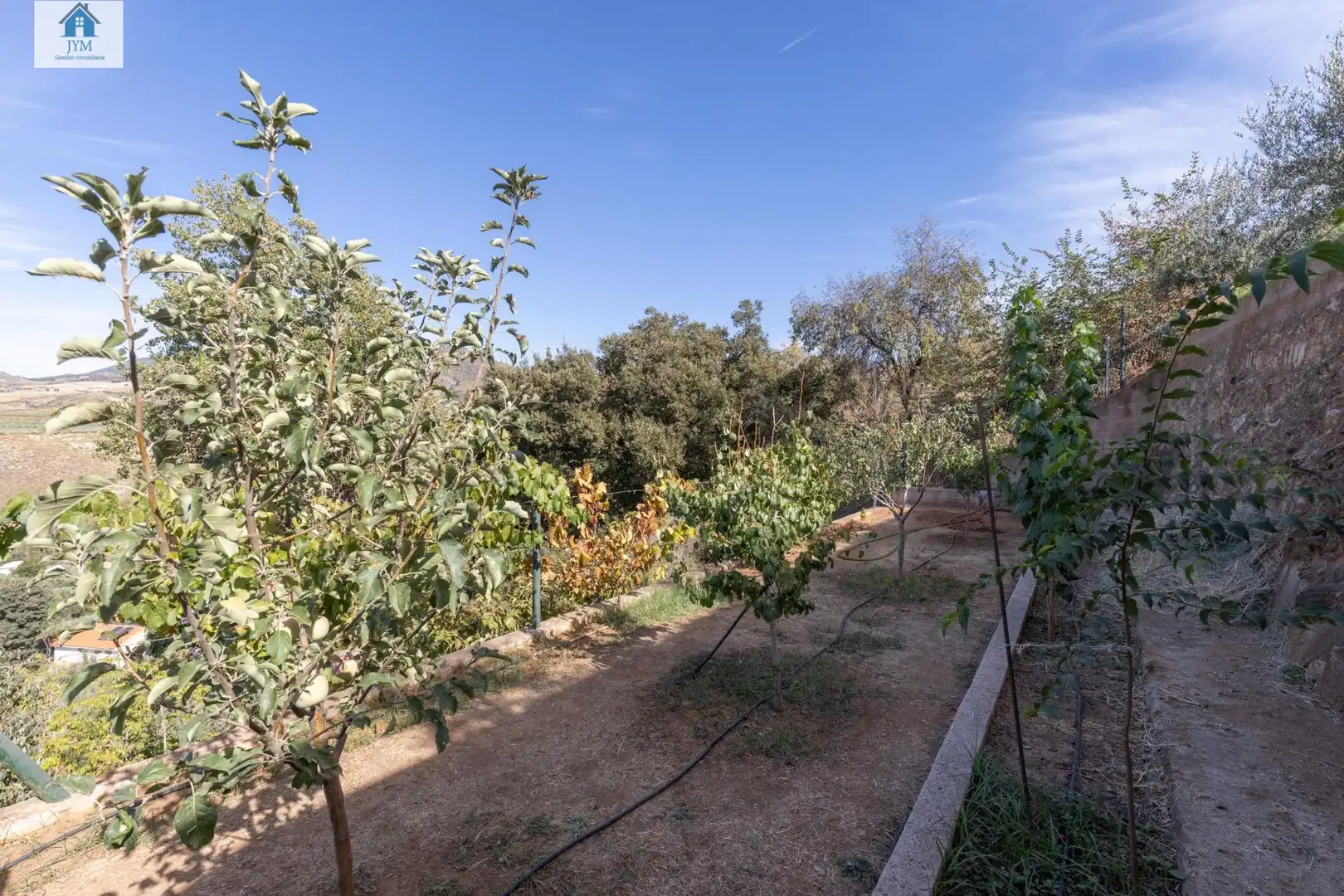 Jardín de Casa o chalet en venta en Dílar con Aire acondicionado, Calefacción y Jardín privado