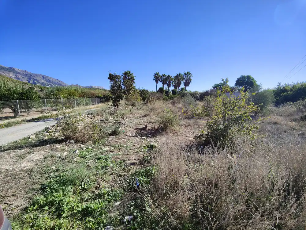 Rural land for sale in PARAJE MOSMAY Y PI DE CALSES, POL.12 , PARCELAS 37, imagen 5