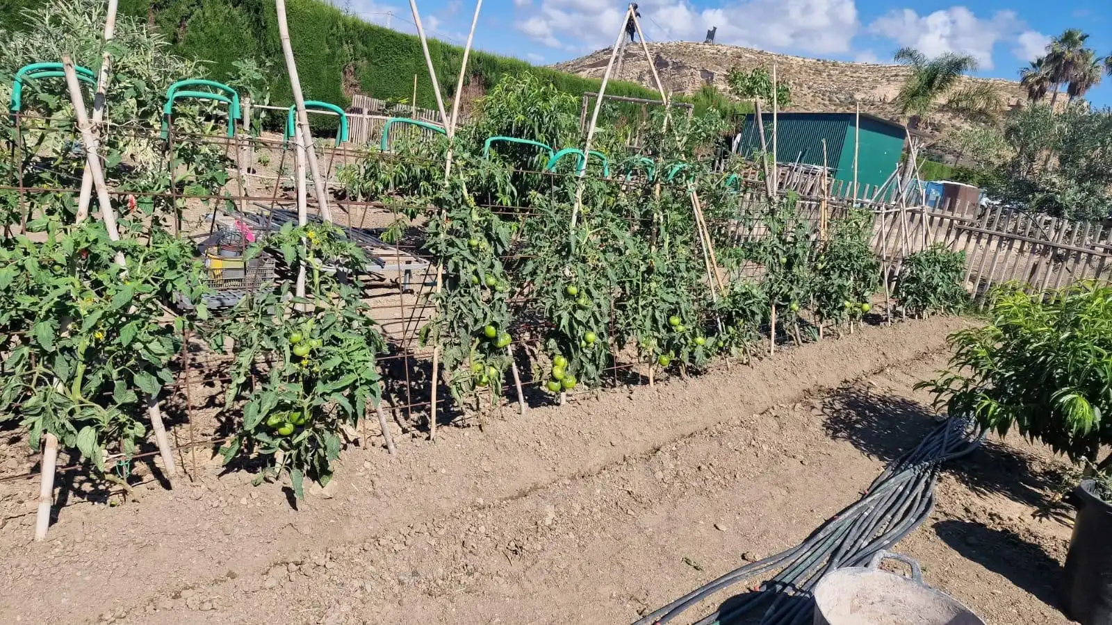 Garten von Country house zum Verkauf in Vélez-Málaga mit Klimaanlage, Privatgarten und Terrasse
