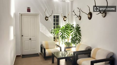 Foto 4 de Habitación en Los Gallos, Chiclana de la Frontera