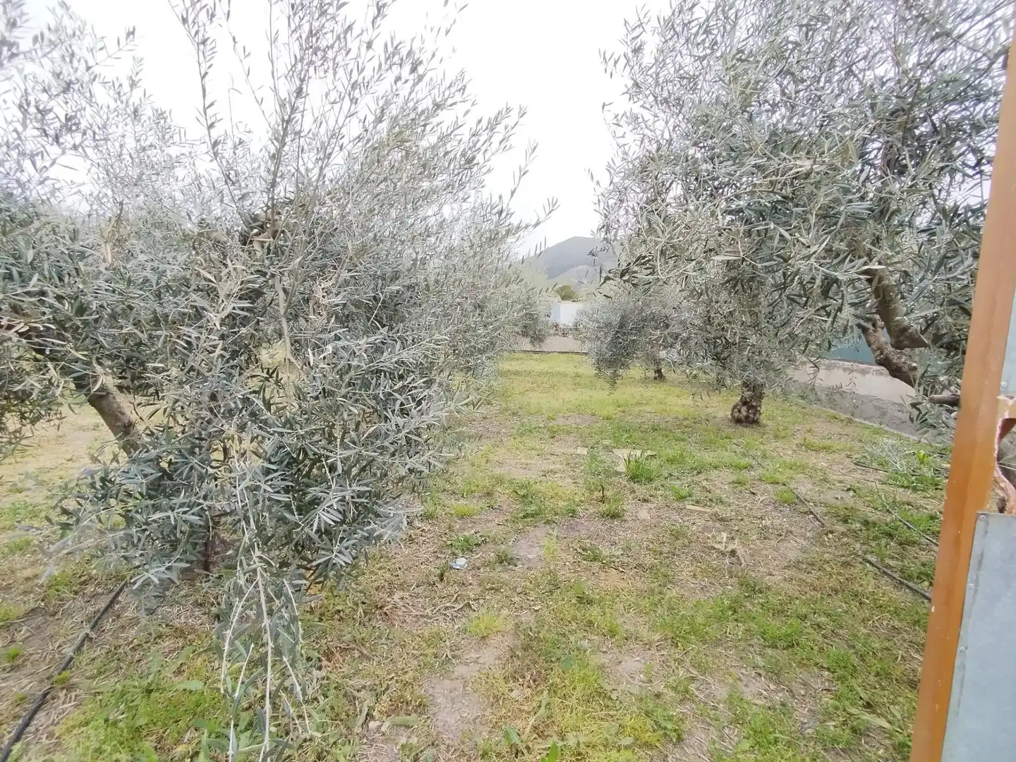 Terreni e lotti in vendita a Carretera Cenes de la Vega, imagen 27